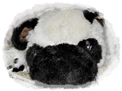 ✱✱ 9歳 ✱✱_f0176499_01245303.jpg