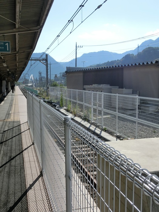 d0004301_11583003.jpg