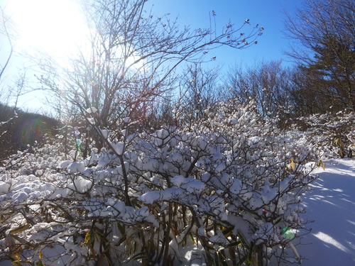 2015.1.31 赤城山・鍋割山で・・・(笑)_a0236914_1621938.jpg