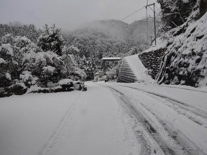 今朝の雪景色_c0116915_07563.jpg