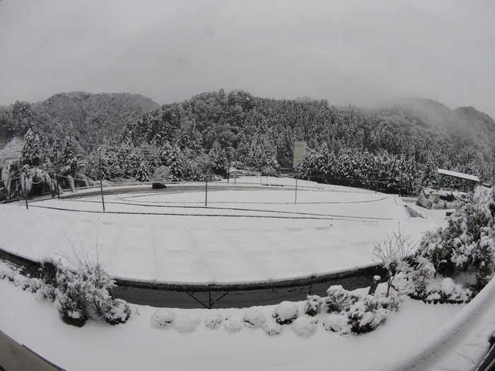 今朝の雪景色_c0116915_081778.jpg