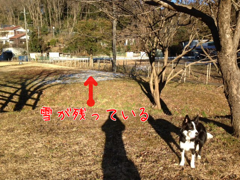 a0232619_1791089.png