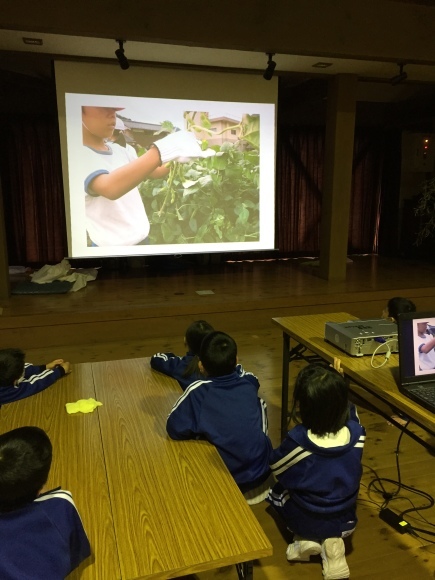 『大豆の加工してみたよ!!』服間小学校3年生の皆さん_e0061225_11592718.jpg