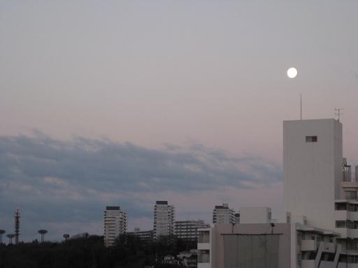 c0217931_15475060.jpg