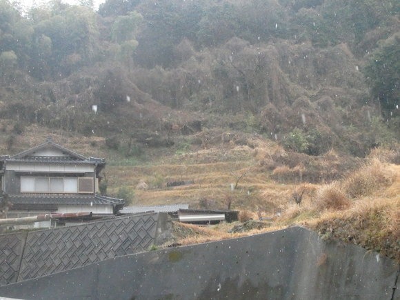a0054240_21183659.jpg