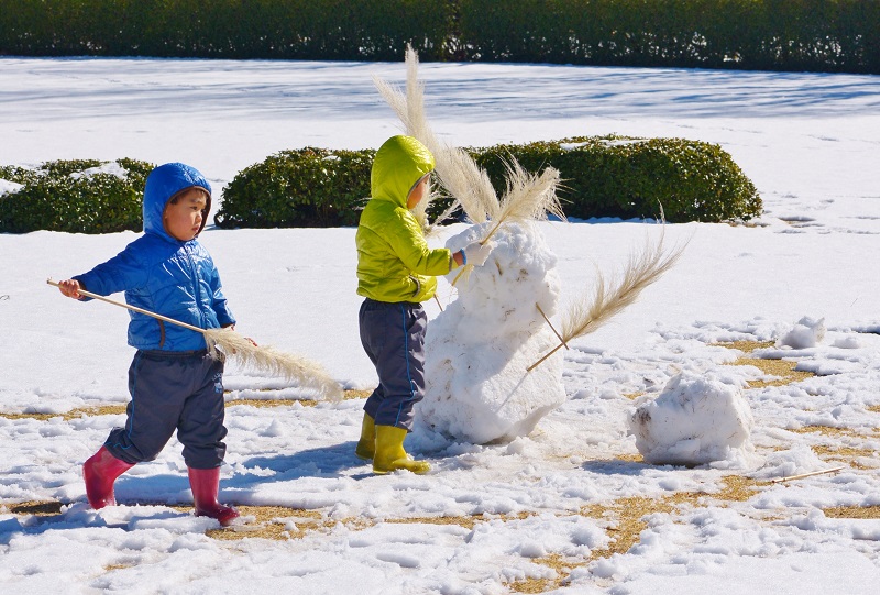 雪の中のセツブンソウ_e0095142_2058248.jpg