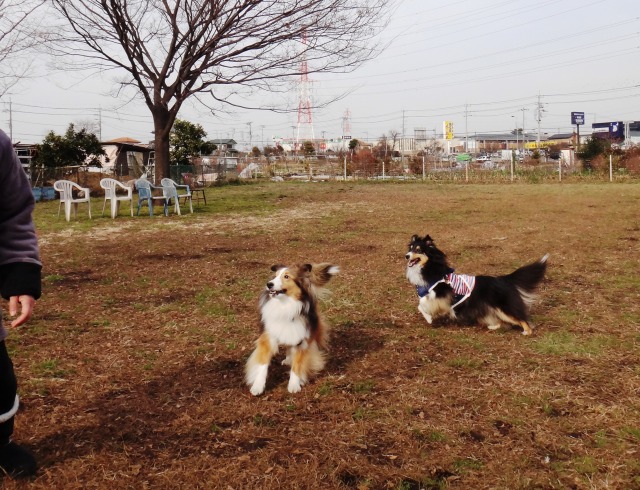のんびり曜日_e0195743_13495639.jpg
