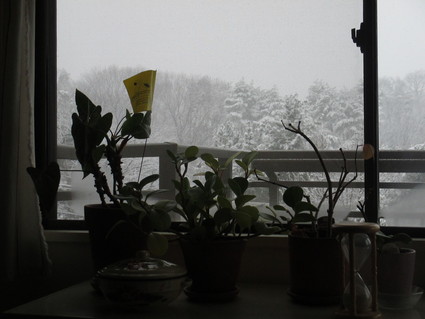f0227248_18214960.jpg