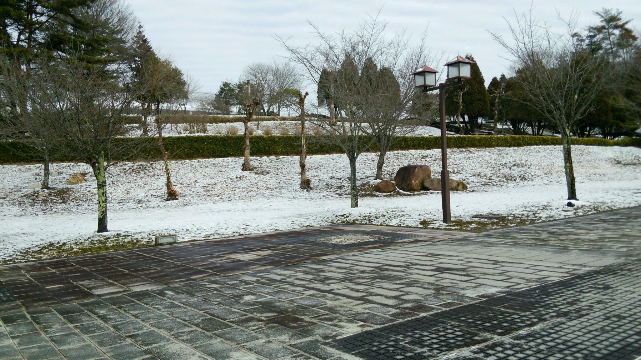 a0073554_00535467.jpg