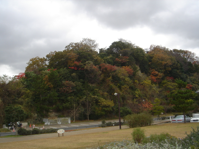 花の広場に物置製作 in うみべの森_c0108460_01383451.jpg