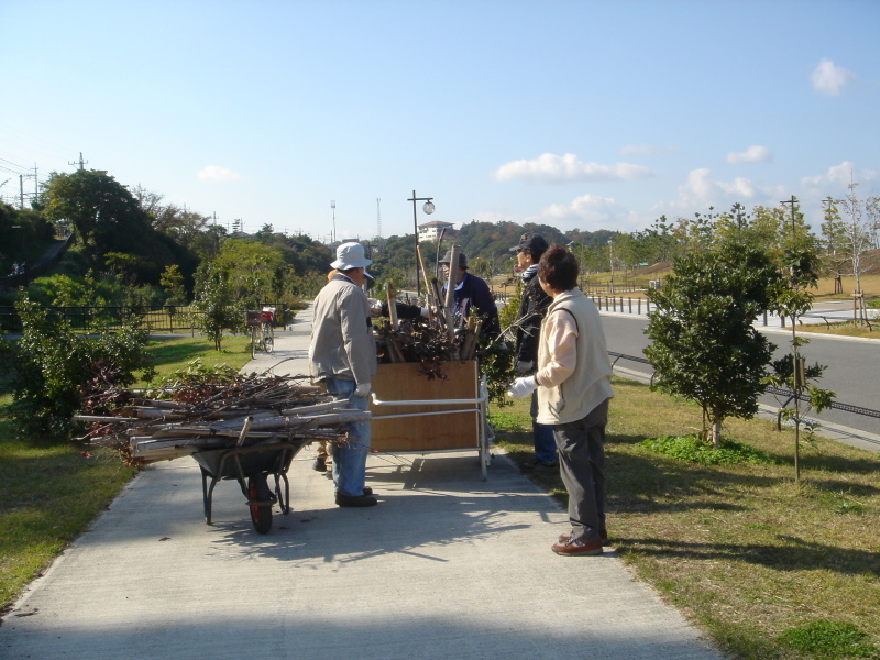 プラナリア渓谷堰補修 in うみべの森_c0108460_22332369.jpg