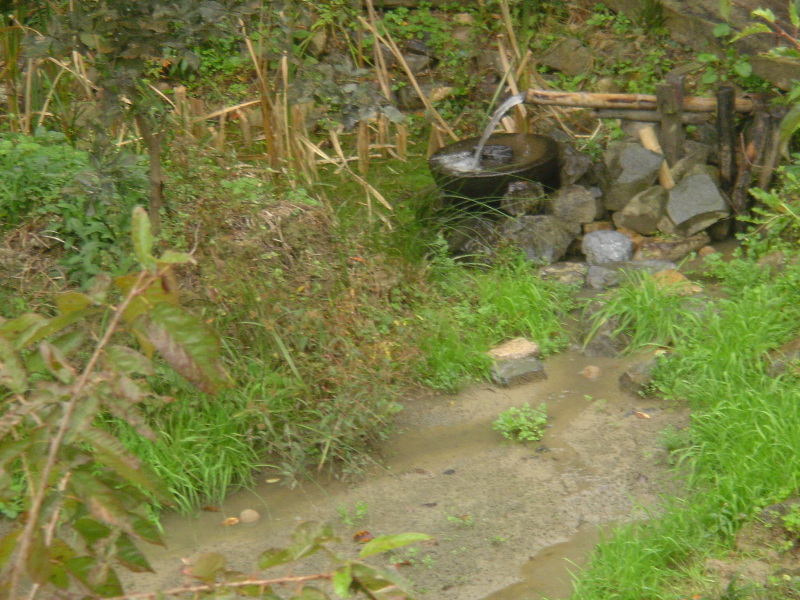 「ケロケロ湿地の水が干上がっている」      in　　うみべの森_c0108460_23413821.jpg
