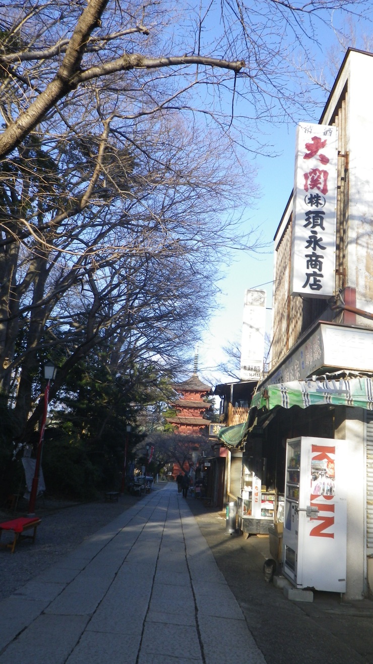 【寄道の寄り道】　法華経寺_b0300769_3295313.jpg