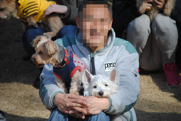 b0242873_22342617.png