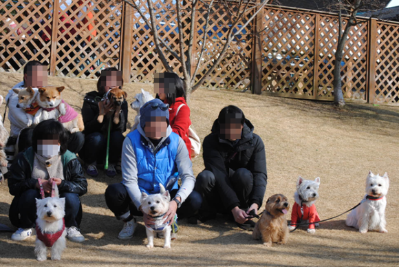 b0242873_23254198.png