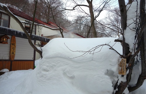 十和田八幡平国立公園とか_d0143475_12342271.jpg