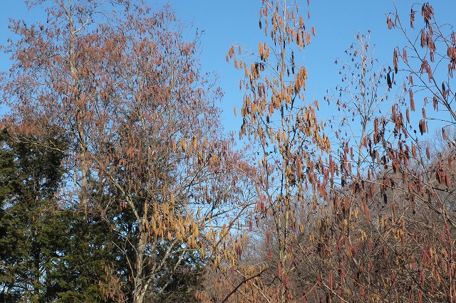 e0070891_2123175.jpg