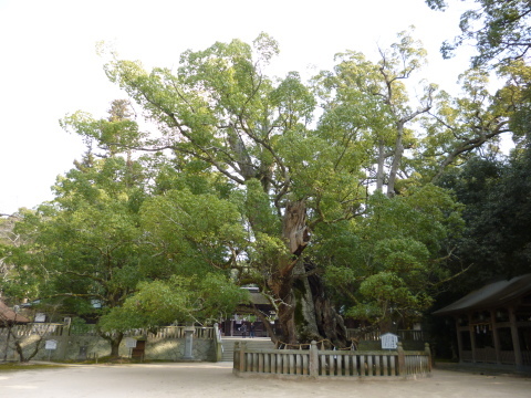 f0330592_08361366.jpg