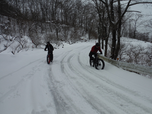 ファットバイクで雪遊び　２０１５年２月_c0132901_17561229.jpg