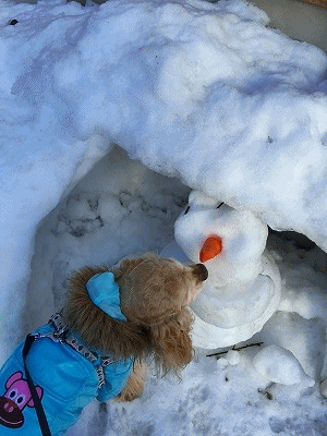 f0326925_23025311.gif