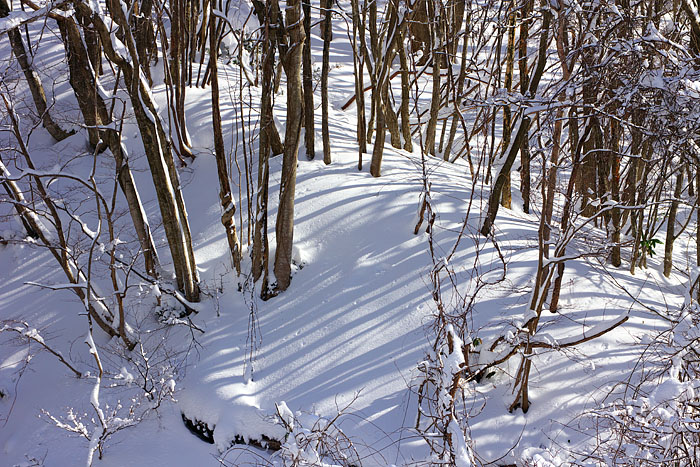 c0067040_8352422.jpg