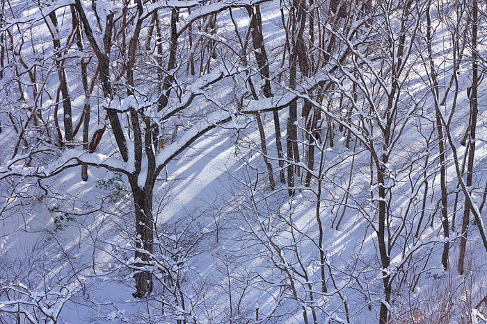 c0067040_8353368.jpg