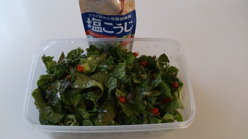 辛子高菜 作ってみた_c0331145_10524666.jpg