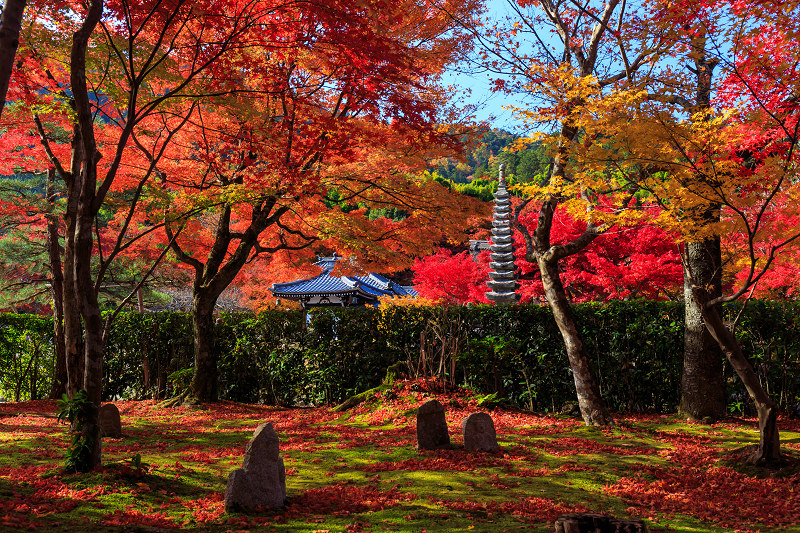 化野念仏寺・艶秋_f0155048_21441544.jpg