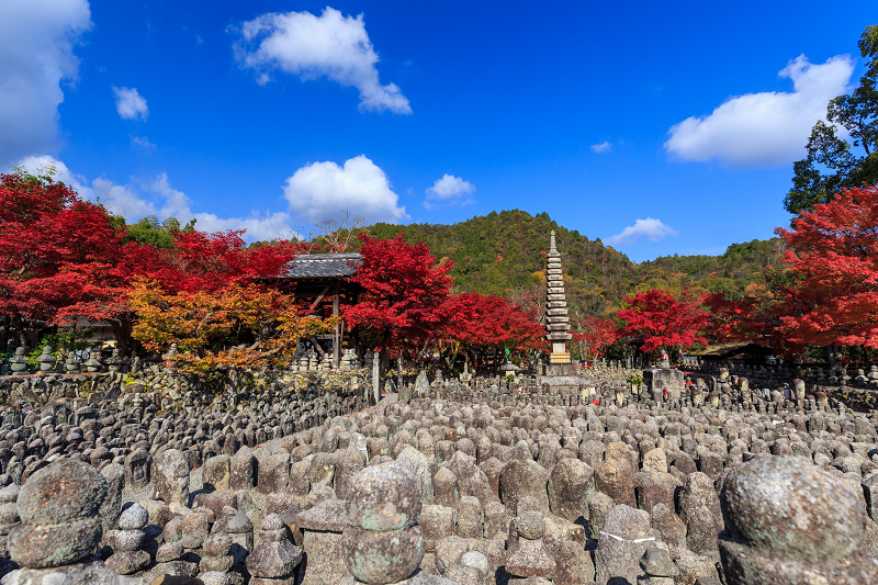 化野念仏寺・艶秋_f0155048_214729100.jpg