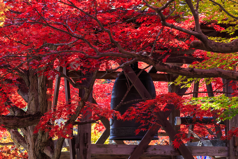 化野念仏寺・艶秋_f0155048_2149017.jpg