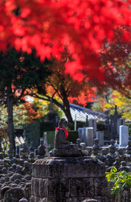 化野念仏寺・艶秋_f0155048_21491751.jpg