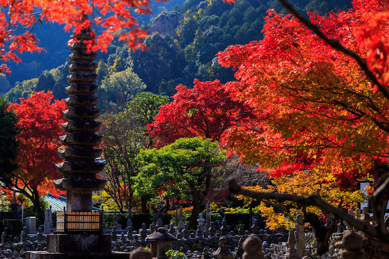 化野念仏寺・艶秋_f0155048_21492411.jpg