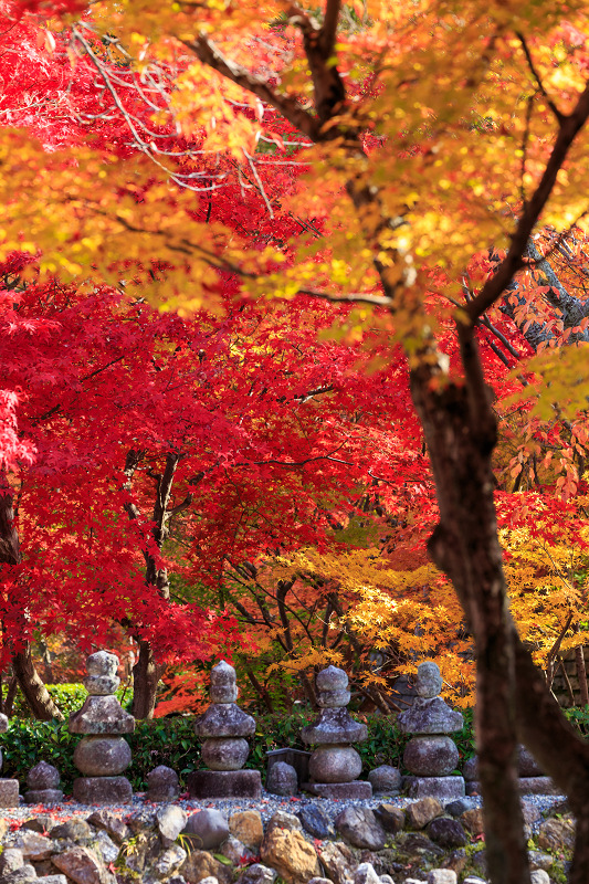 化野念仏寺・艶秋_f0155048_214986.jpg