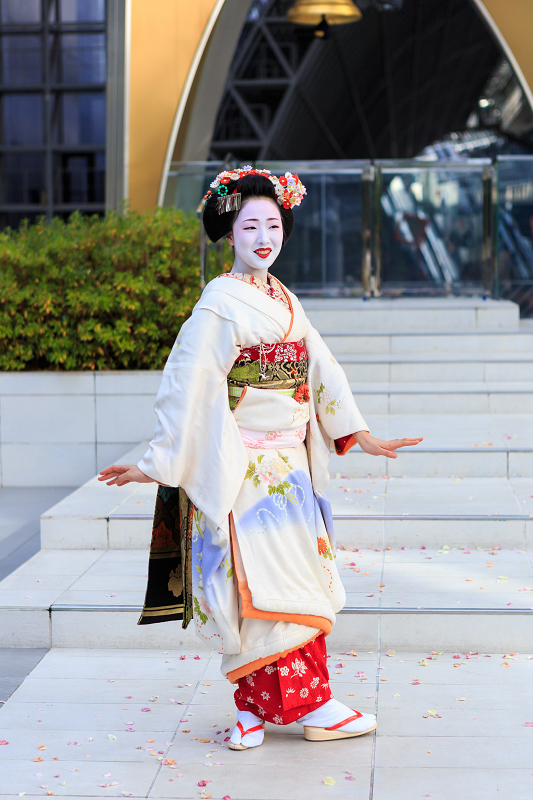 祇園甲部 芸妓 舞妓 千社札 まめ藤 まめ藤さん