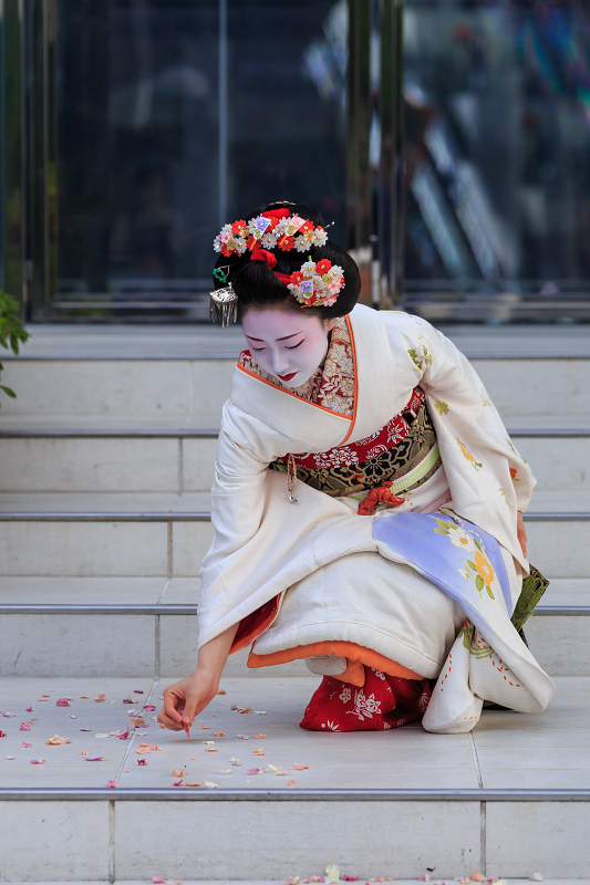 Kyoto Station（祇園甲部・まめ藤さん） : 花景色－K.W.C. PhotoBlog