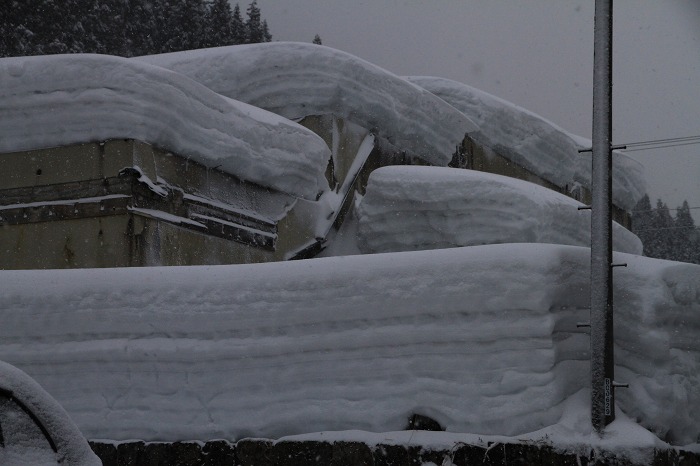 雪だるま祭り_c0155950_9581665.jpg