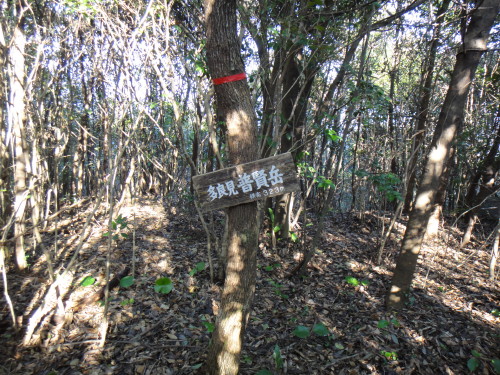 ２０１５年１月３１日　水洗山　普賢岳　鎌倉山　大山　猪見山_c0179351_21453998.jpg