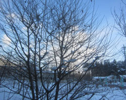 1月が、終わる・・・_d0050155_1013101.jpg