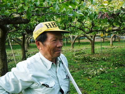 熊本梨　本藤果樹園　今年も梨が育つ最高のステージを作ります！お礼肥えから選定作業まで　その１_a0254656_17391988.jpg