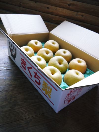 熊本梨 本藤果樹園 今年も梨が育つ最高のステージを作ります!お礼肥えから選定作業まで その1_a0254656_1749826.jpg