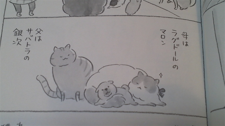 まめねこ４ と ちびネコどんぐり ねこまき著 猫と理子と