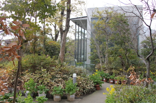 f0259373_17321065.jpg