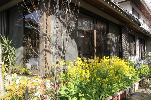 f0259373_17361781.jpg