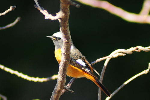 c0176183_217845.jpg