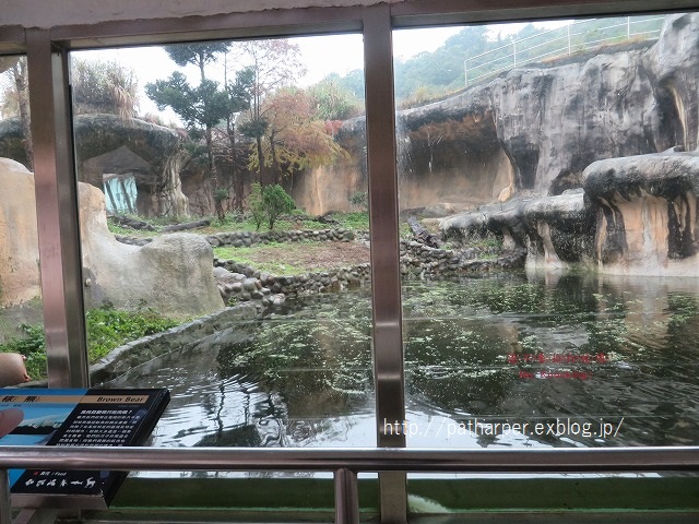 ２０１４年１２月　台湾パンダ見隊　２日め　その６_a0052986_033154.jpg