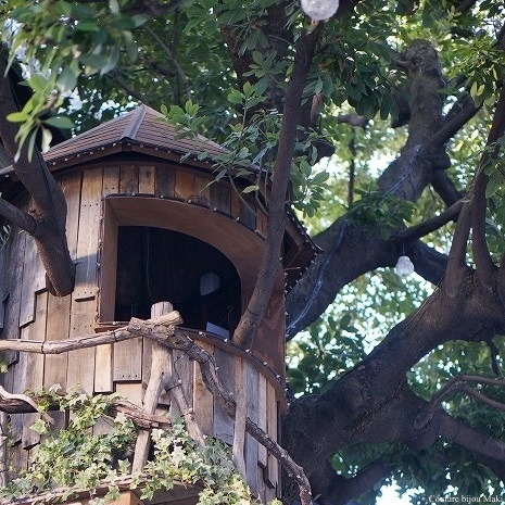 素敵なお花屋さん…_e0043686_20134020.jpg