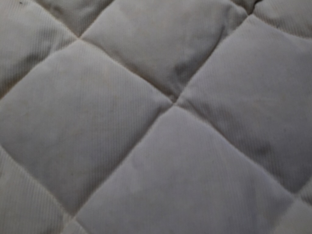 c0078587_20371989.jpg