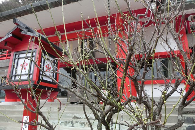 徳島天神社に参拝・・・菅原道真公が祀ってありました、学問の神様_d0181492_181812.jpg