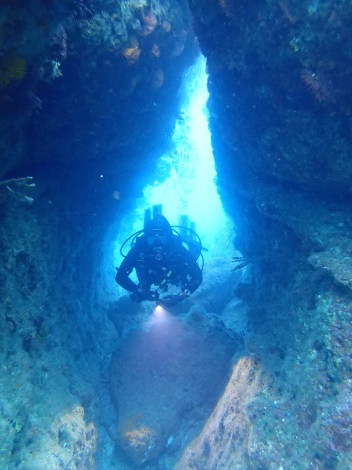 e0115199_19121433.jpg