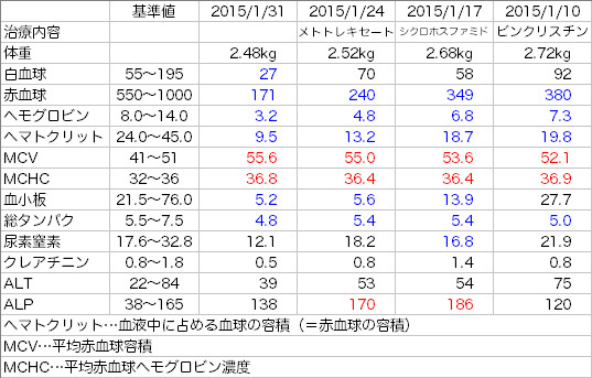 リンパ腫治療第9週目 骨髄転移の可能性 ひびねこ